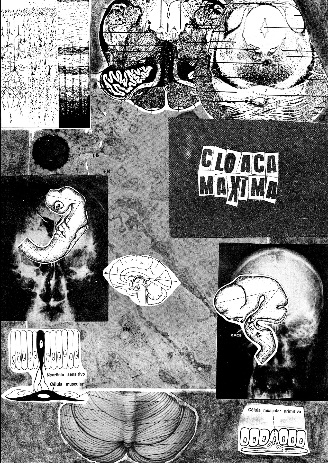 Cloaca Máxima